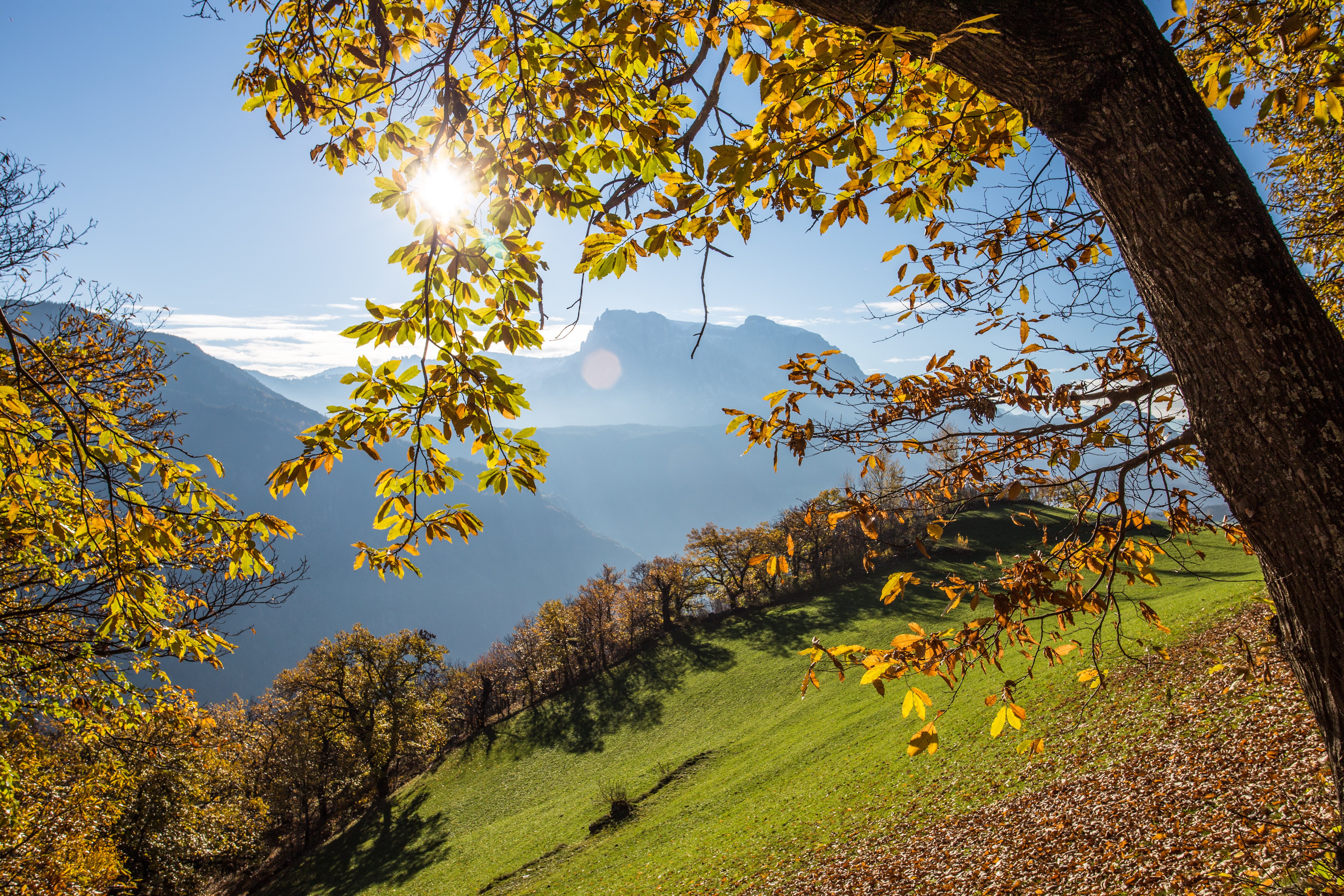 header-img