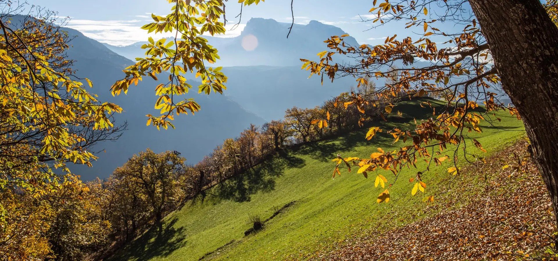 header-img